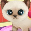  :    (Paws to Beauty 3: Puppies & Kittens)